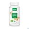 Purasana Vegan Gember 60 Plantaardige Capsules