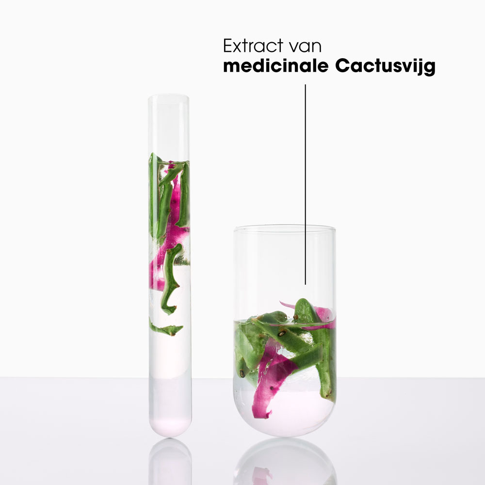 Klorane Hydratatie & Glans Dorstlessende Shampoo met Cactusvijg 400 ml