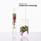 Klorane Hydratatie & Glans Dorstlessende Shampoo met Cactusvijg 400 ml