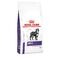 Royal Canin Dog Large Dog Dry 4kg