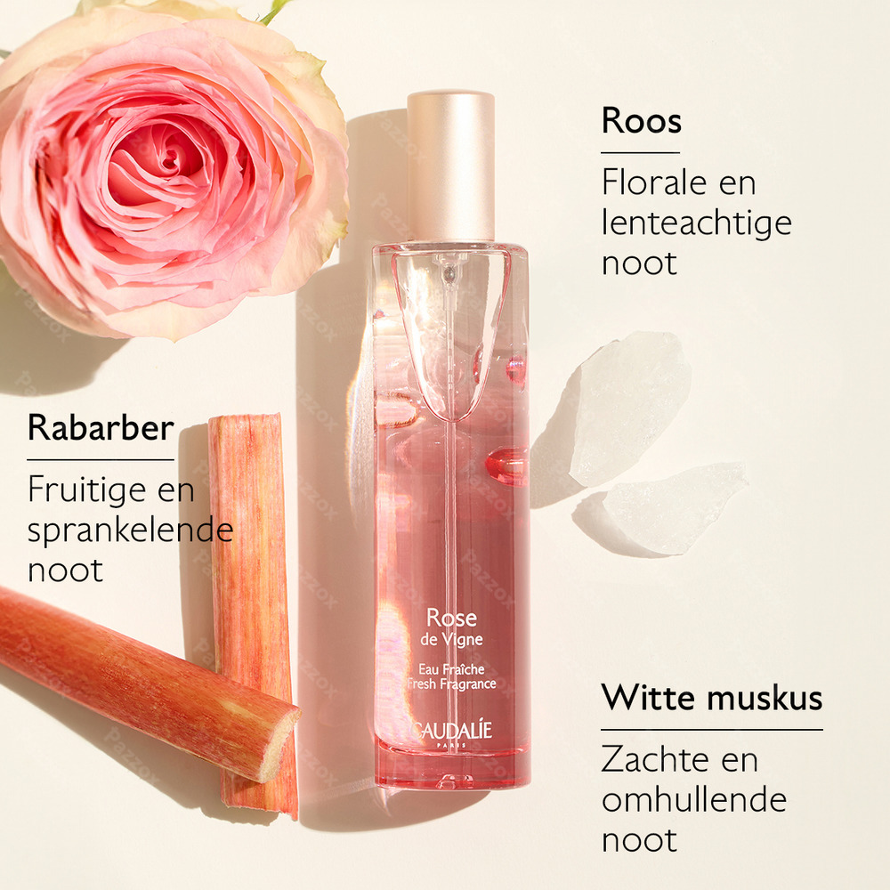 Caudalie Rose de Vigne Geschenkpakket 50ml