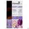 Flowertint Kastanje 4.0 140ml