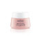 Vichy Neovadiol Rose Platinium Nachtcrème 50ml