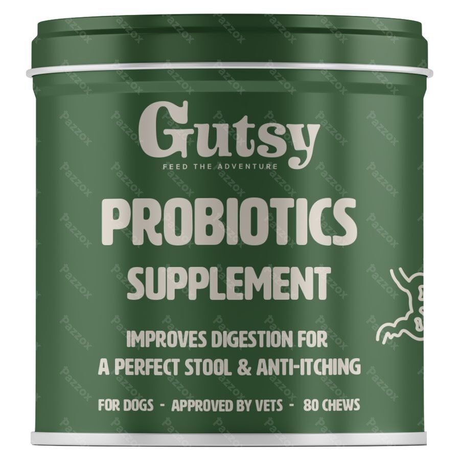 Gutsy Probiotics Supplement Chews 80