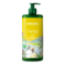 Weleda Energy Douchegel Gember 750ml