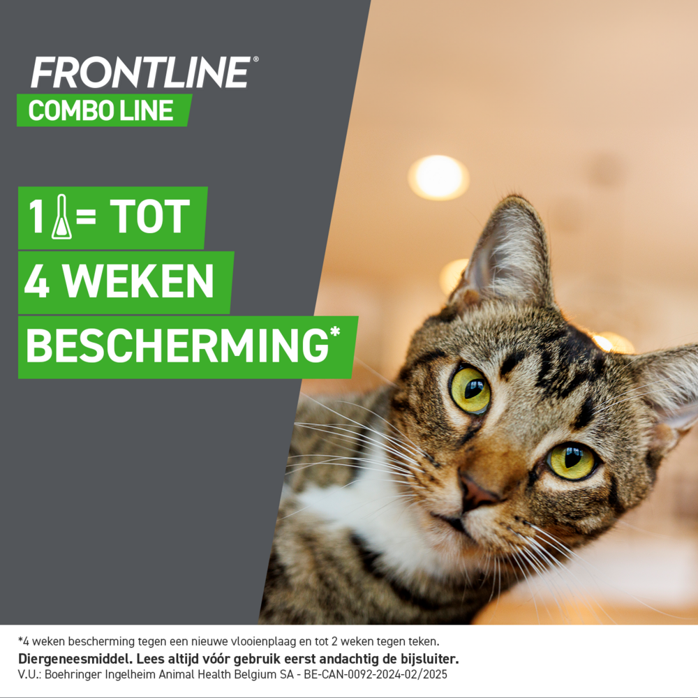 Frontline Combo Line Cat 6x0,5ml