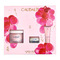 Caudalie Kerst Set Resveratrol-Lift 2025 3 Producten