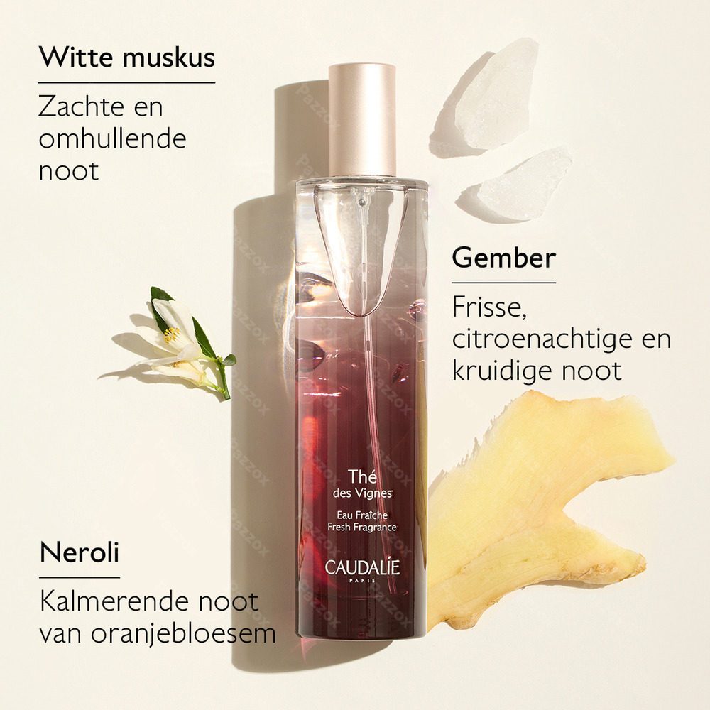 Caudalie Kerst Set The Vignes 2025 3 Producten